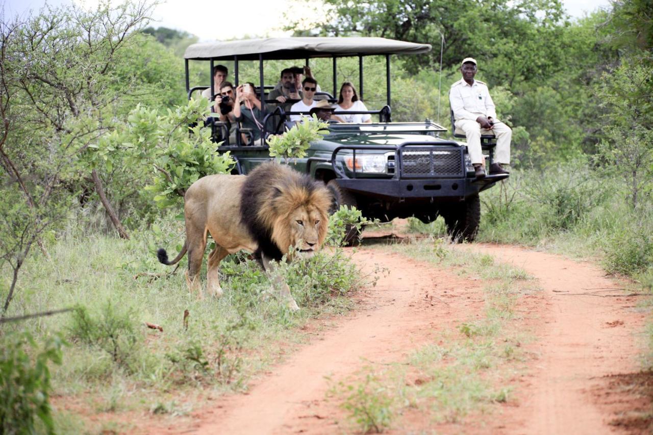 Karongwe Portfolio - Kuname Lodge Karongwe Game Reserve Dış mekan fotoğraf