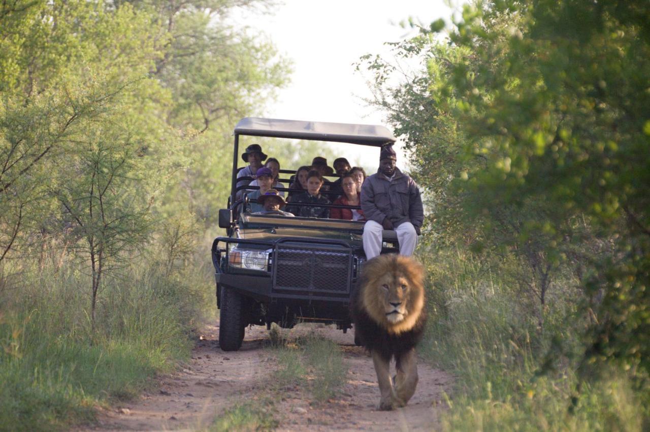 Karongwe Portfolio - Kuname Lodge Karongwe Game Reserve Dış mekan fotoğraf