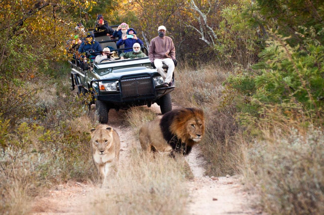 Karongwe Portfolio - Kuname Lodge Karongwe Game Reserve Dış mekan fotoğraf