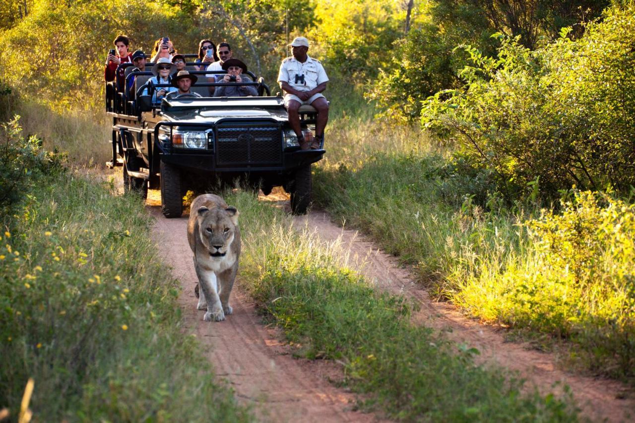 Karongwe Portfolio - Kuname Lodge Karongwe Game Reserve Dış mekan fotoğraf
