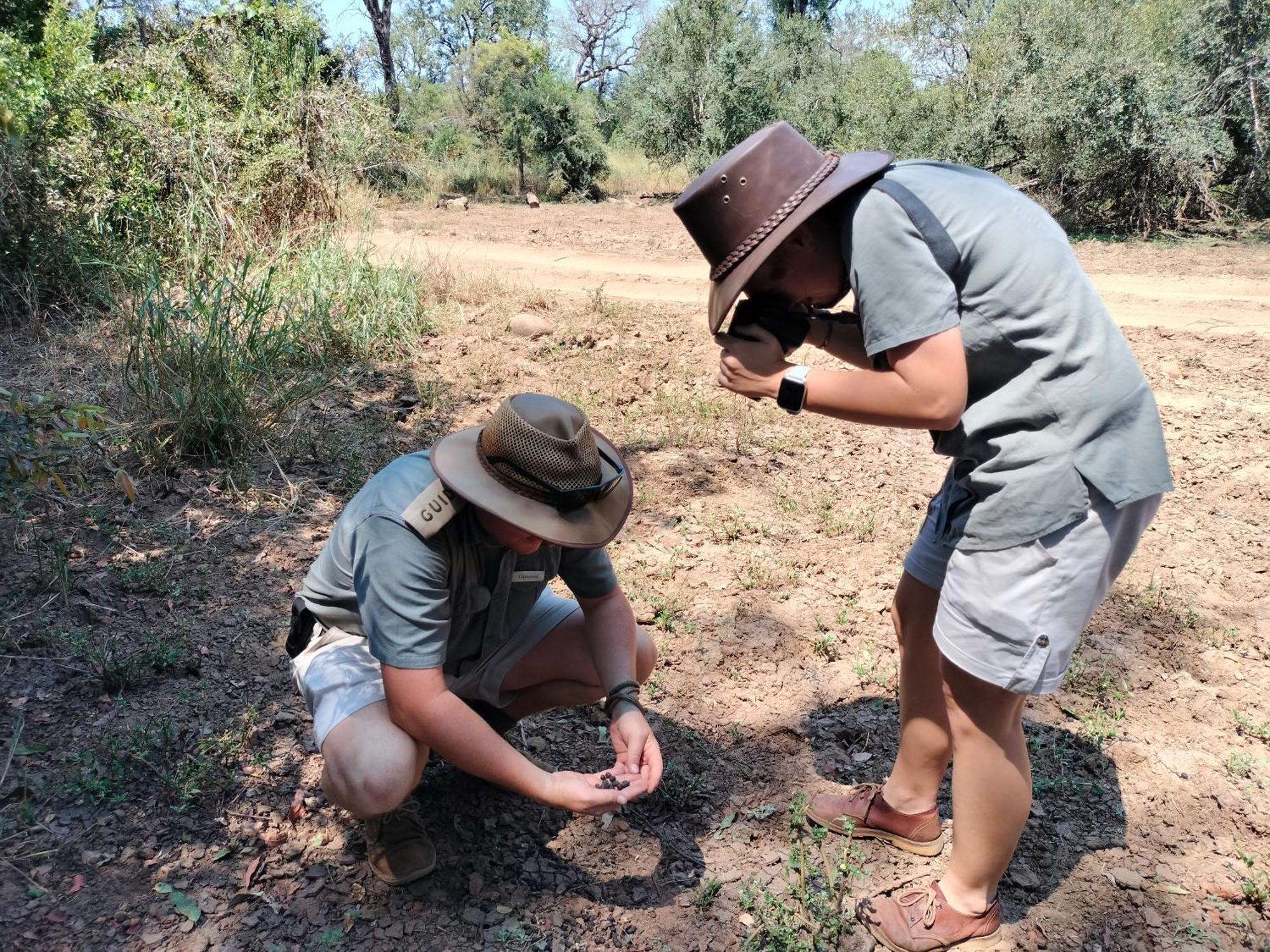 Karongwe Portfolio - Kuname Lodge Karongwe Game Reserve Dış mekan fotoğraf