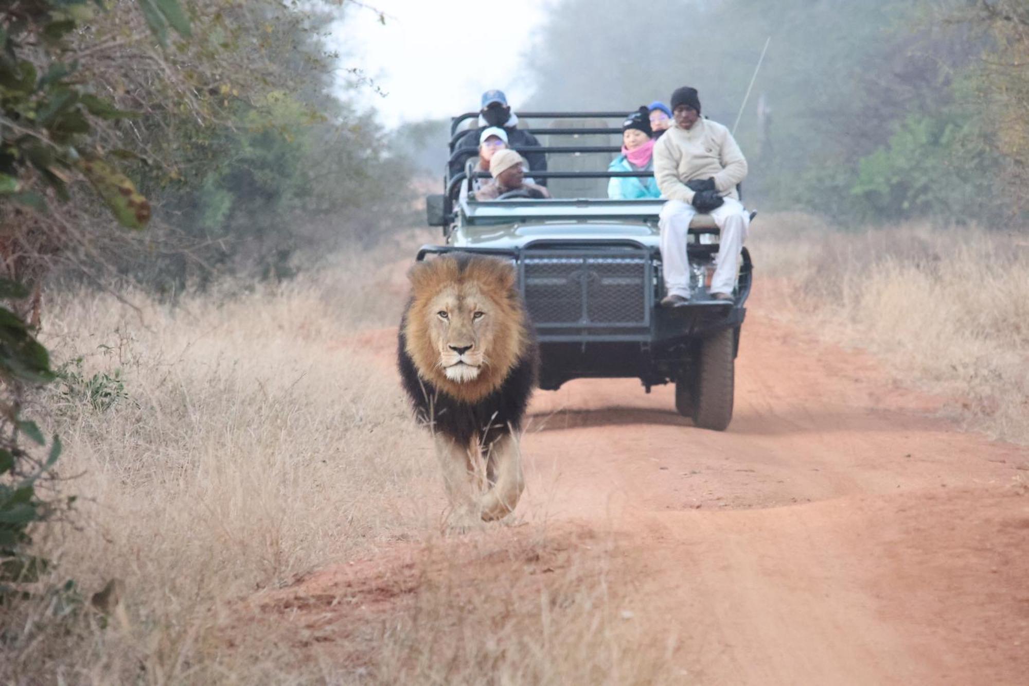 Karongwe Portfolio - Kuname Lodge Karongwe Game Reserve Dış mekan fotoğraf